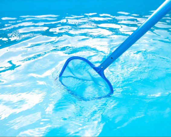 Maintenance & Cleaning (1)