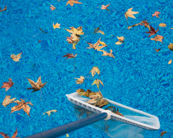 Maintenance & Cleaning